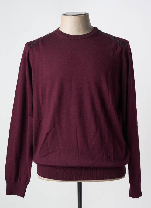 Pull violet DELAHAYE pour homme