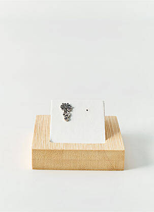 Boucle d'oreille mono  argent SANS MARQUE femme