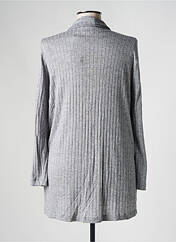 Gilet manches longues gris AN II VITO pour femme seconde vue