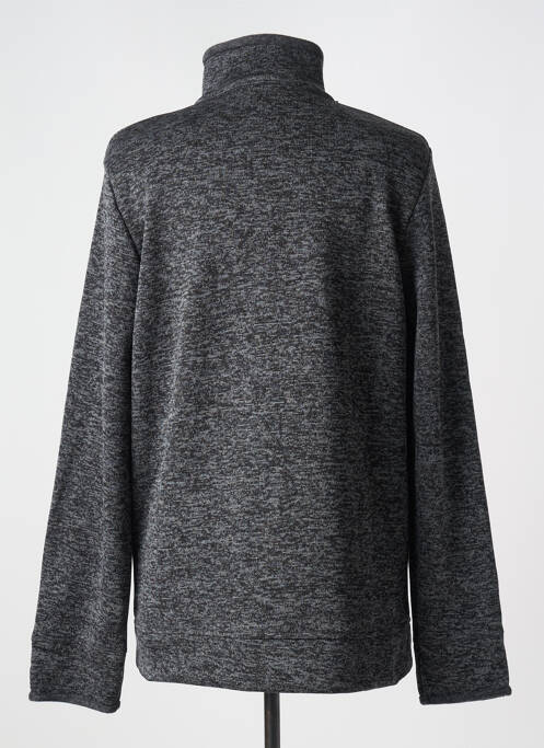 Polaire gris BARANDI pour homme