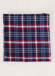 Foulard imprimé carreaux bleu BREUER homme