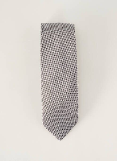 Cravate gris BREUER pour homme