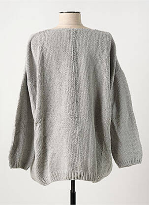 Pull col v manches longues gris POLES femme