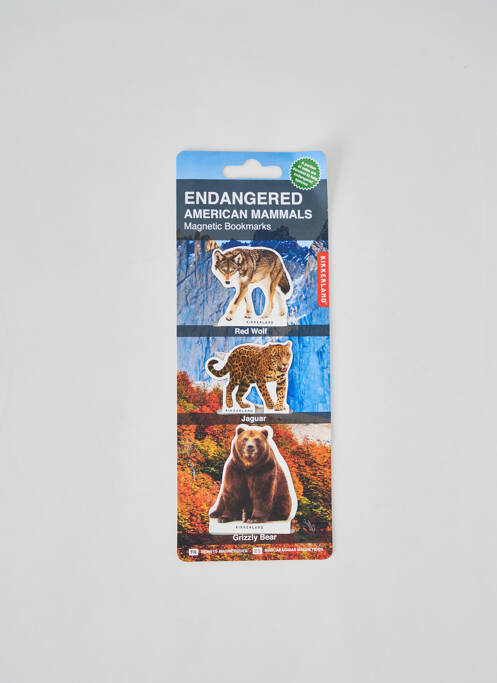 Accessoire divers marron KIKKERLAND pour unisexe