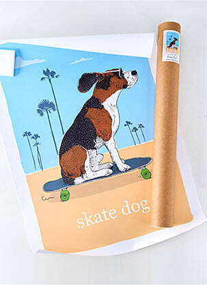 Accessoire divers bleu OCEAN PARK pour unisexe