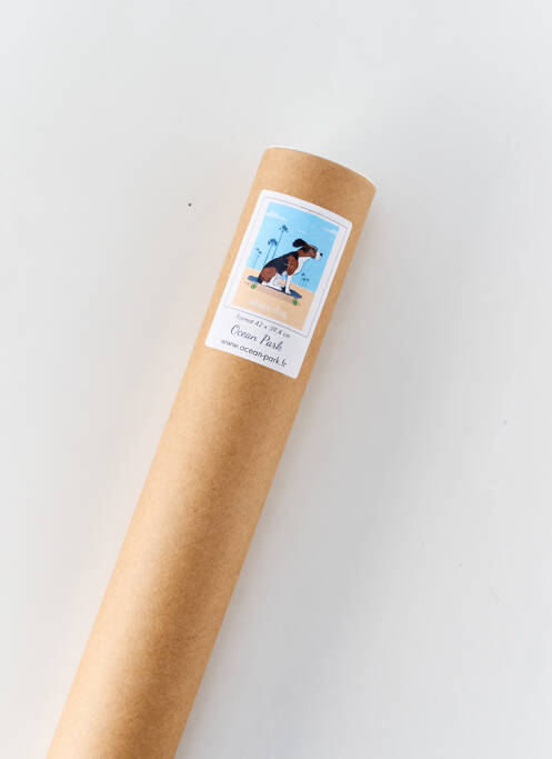 Accessoire divers bleu OCEAN PARK pour unisexe