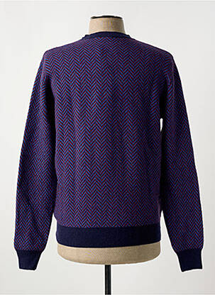Gilet manches longues col v violet PRIVATI homme