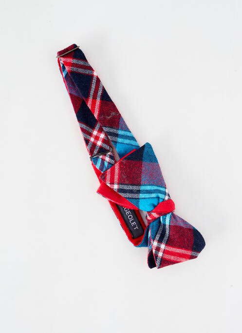 Noeud papillon rouge LE FLAGEOLET pour homme