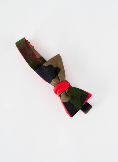 Noeud papillon vert LE FLAGEOLET pour homme