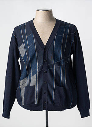 Gilet manches longues col v bleu CHAIRMAN homme