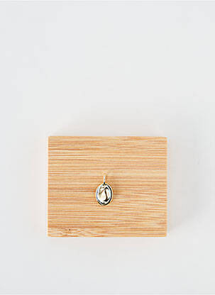Pendentif ornement oxyde de zirconium or ANIA HAIE femme
