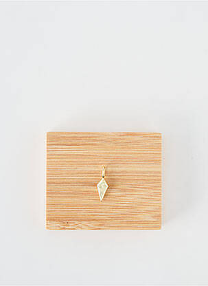 Pendentif matériaux argent or ANIA HAIE femme