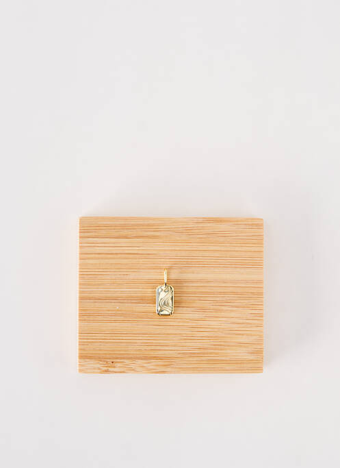 Pendentif or ANIA HAIE pour femme