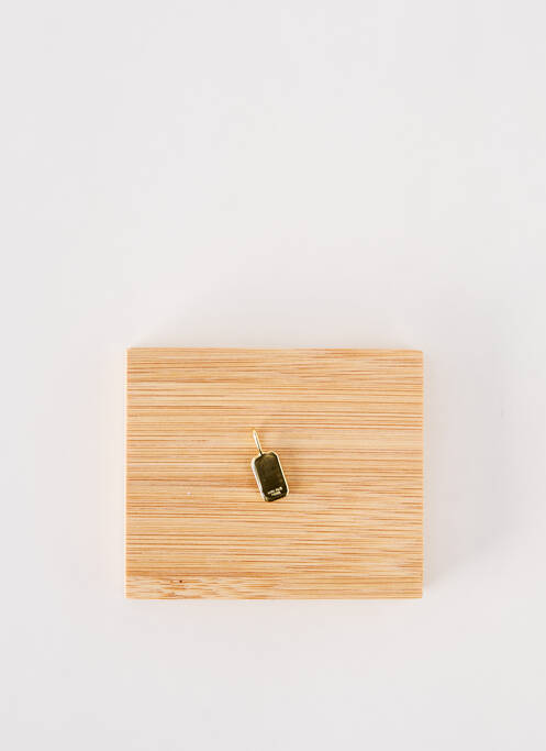 Pendentif or ANIA HAIE pour femme