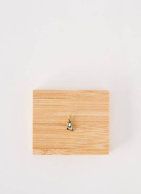 Pendentif or ANIA HAIE femme