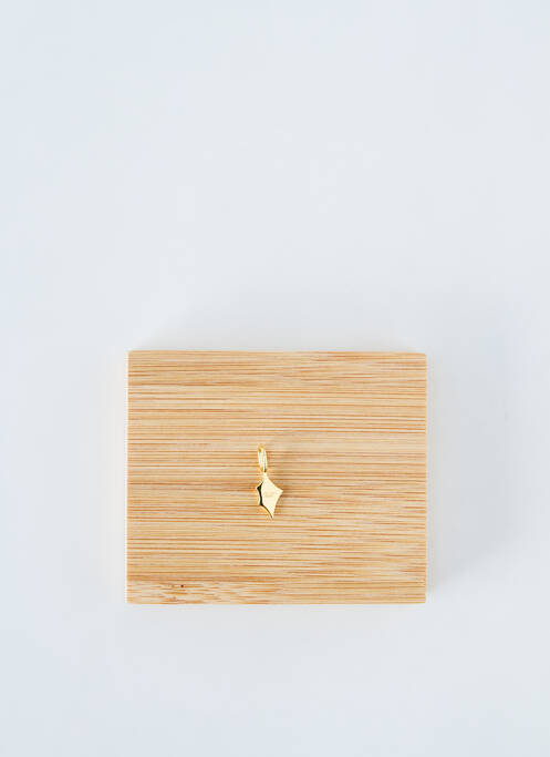 Pendentif or ANIA HAIE pour femme