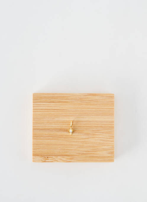 Pendentif or ANIA HAIE pour femme