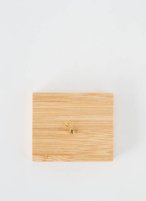 Pendentif or ANIA HAIE pour femme