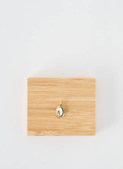 Pendentif or ANIA HAIE pour femme