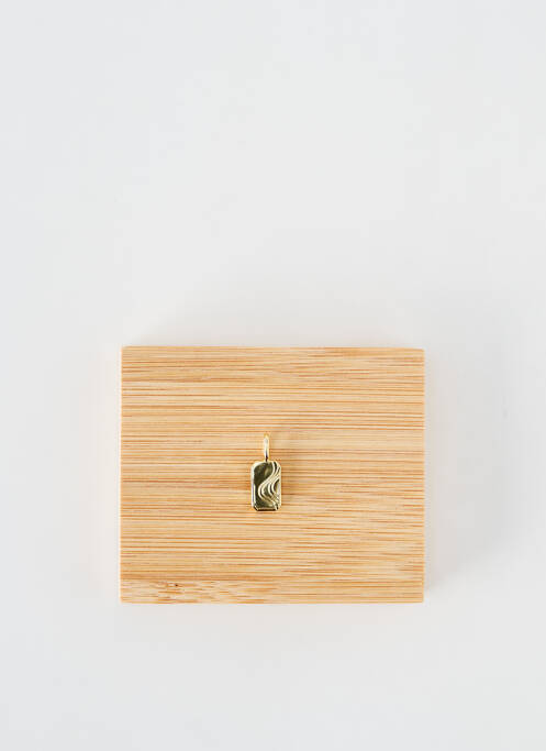 Pendentif or ANIA HAIE pour femme