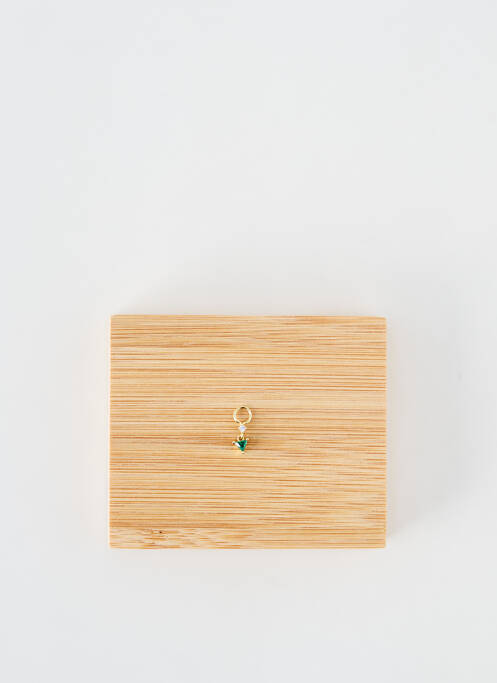 Pendentif or ANIA HAIE pour femme