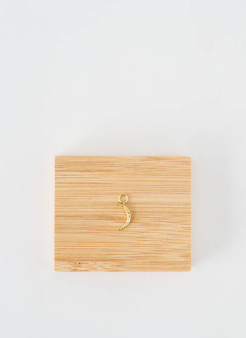 Pendentif or ANIA HAIE pour femme