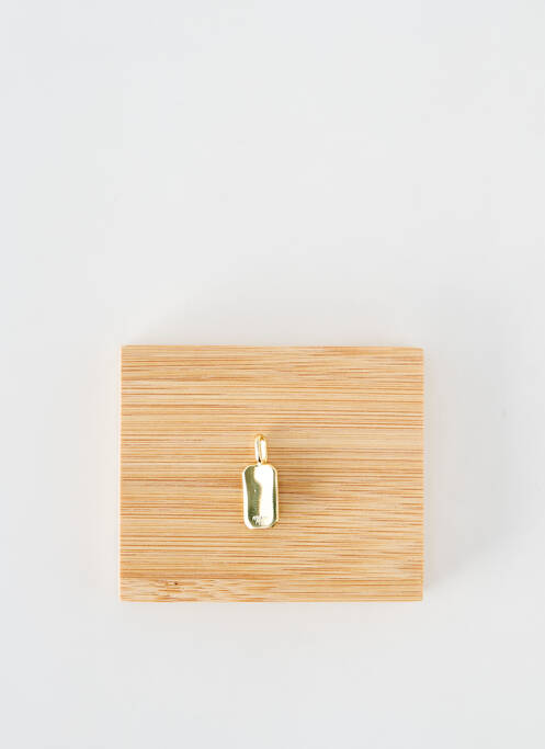 Pendentif or ANIA HAIE femme