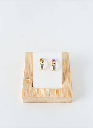 Boucles d’oreilles matériaux plaqué or or ROBBEZ MASSON femme