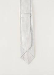 Cravate gris PAL ZILERI pour homme seconde vue