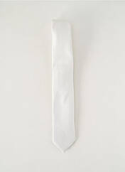 Cravate argent PAL ZILERI pour homme seconde vue