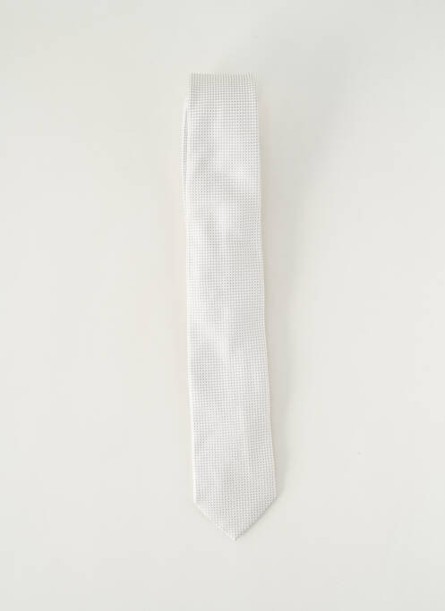 Cravate gris PAL ZILERI pour homme