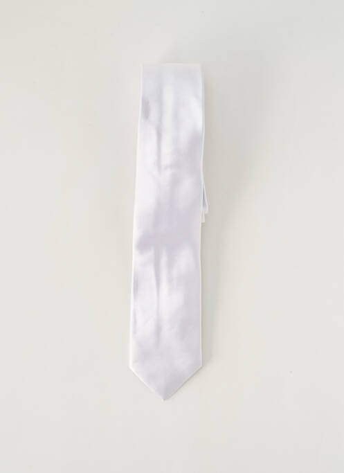 Cravate argent PAL ZILERI pour homme