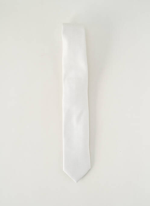 Cravate argent PAL ZILERI pour homme