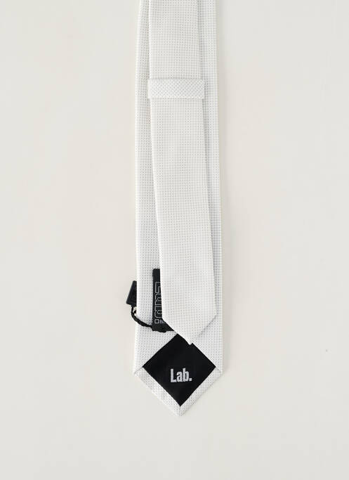 Cravate argent PAL ZILERI pour homme