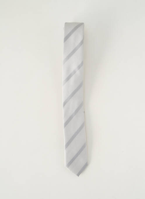 Cravate argent PAL ZILERI pour homme