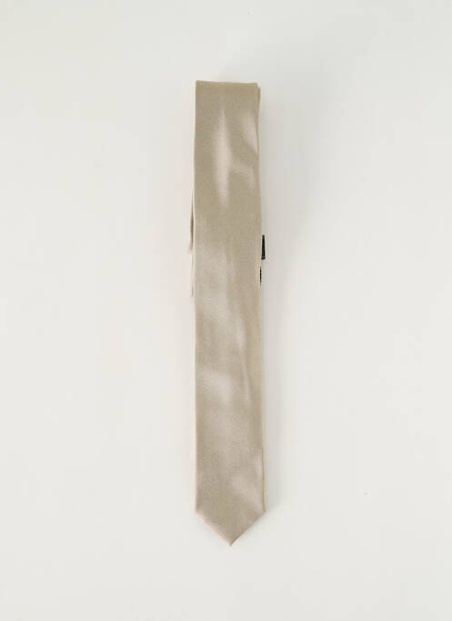 Cravate or PAL ZILERI pour homme