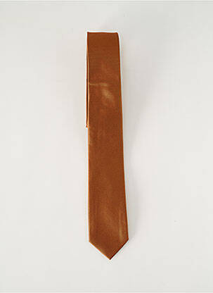 Cravate effet matière satinée marron ROY ROBSON homme