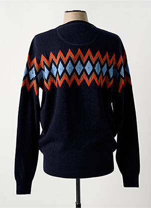 Pull col rond manches longues bleu FYNCH-HATTON homme