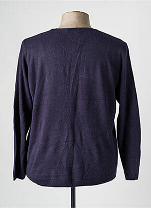 Pull col rond manches longues bleu CASHMERE FEELING homme