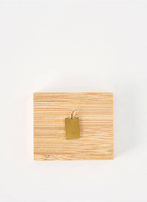 Pendentif matériaux plaqué or or ROBBEZ MASSON femme