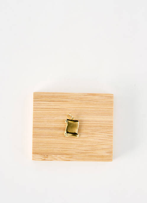 Pendentif or ROBBEZ MASSON femme