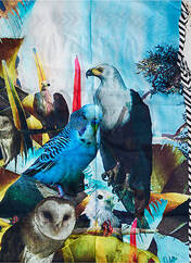 Foulard bleu BARTS pour femme seconde vue