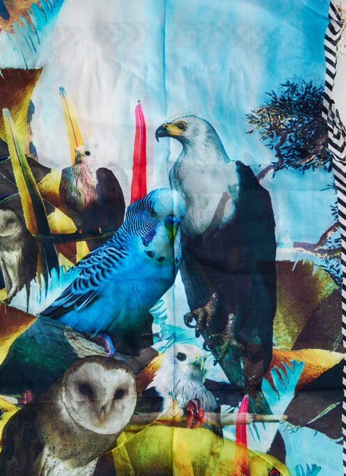 Foulard bleu BARTS pour femme