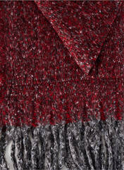 Echarpe rouge REGINA SCHRECKER pour femme seconde vue