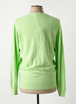 Pull col v manches longues vert DELAHAYE homme