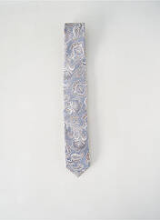 Cravate gris REAL GUYS pour homme seconde vue