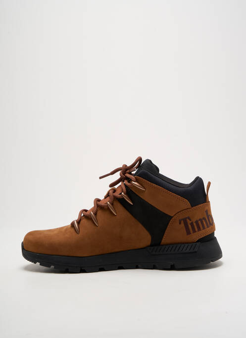 Baskets marron TIMBERLAND pour homme