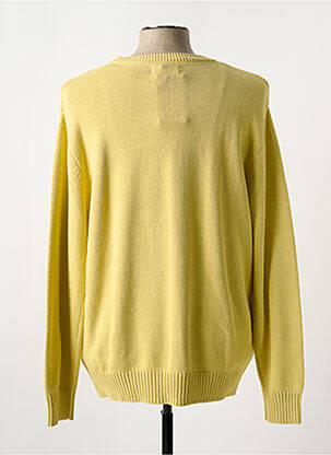 Pull col rond manches longues jaune LEE COOPER homme