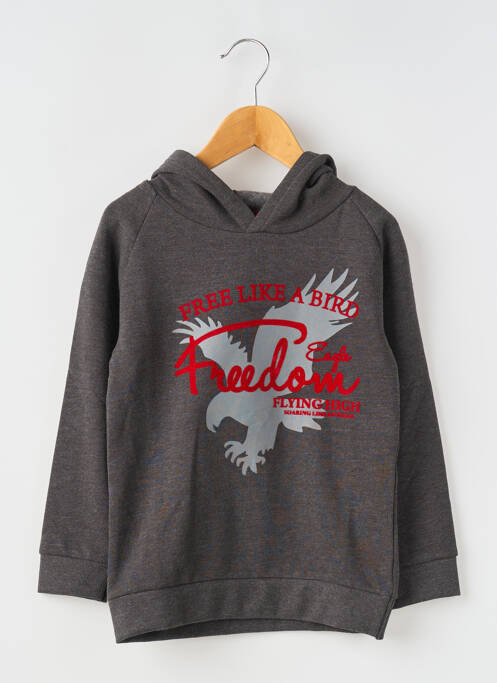 Sweat-shirt à capuche gris KNOT SO BAD pour garçon