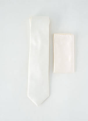 Cravate gris VIRTUOSE pour homme